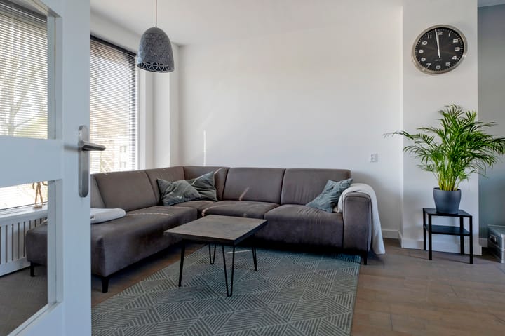 Foto 5 van Seringenlaan 59