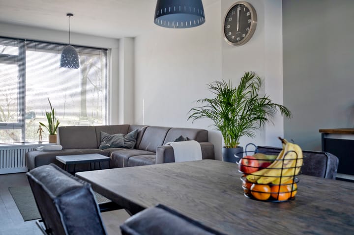 Foto 11 van Seringenlaan 59