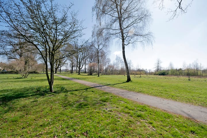 Foto 40 van Seringenlaan 59