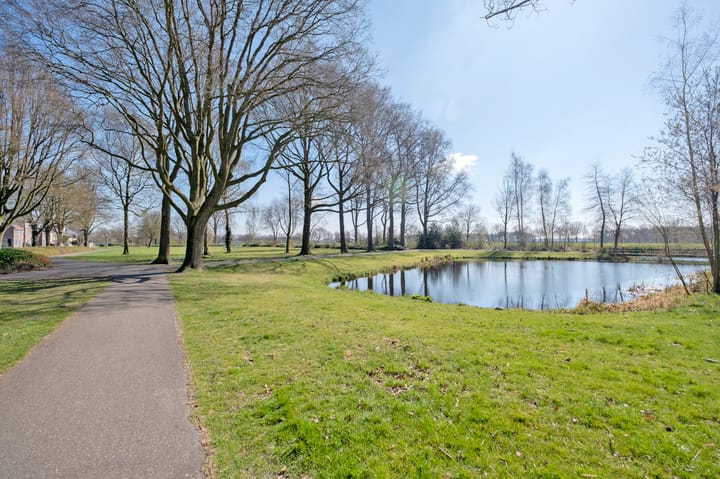 Foto 41 van Seringenlaan 59