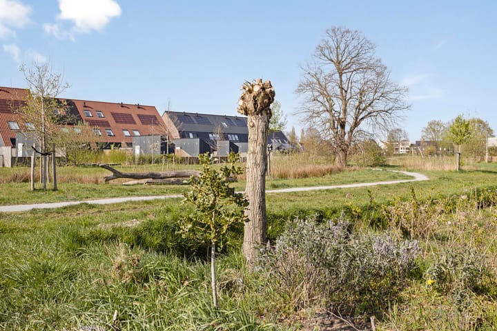 Photo 35 of Hubertshoeve 19