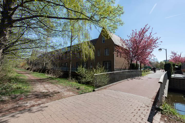 Foto 47 van Straat van Corsica 135