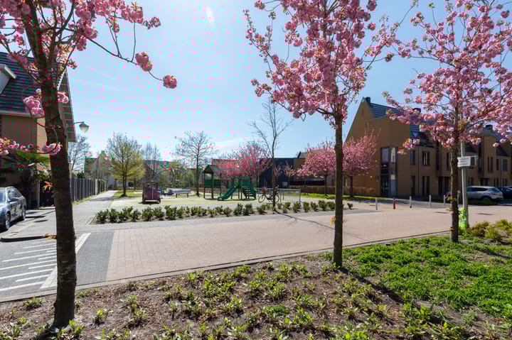 Foto 49 van Straat van Corsica 135