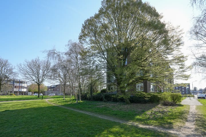 Foto 2 van Neptunusstraat 18