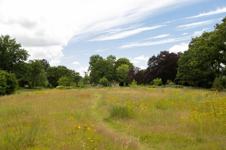 Foto 52 van De Steenzager 18