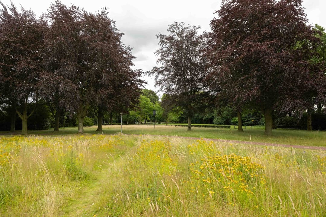 Foto 53 van De Steenzager 18