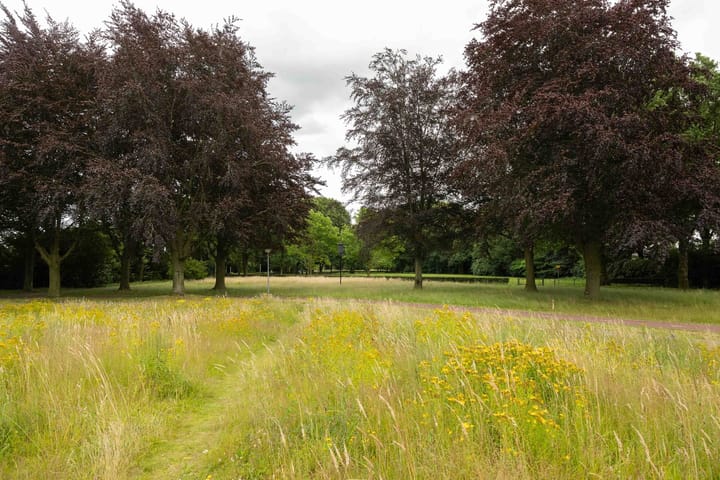 Foto 53 van De Steenzager 18