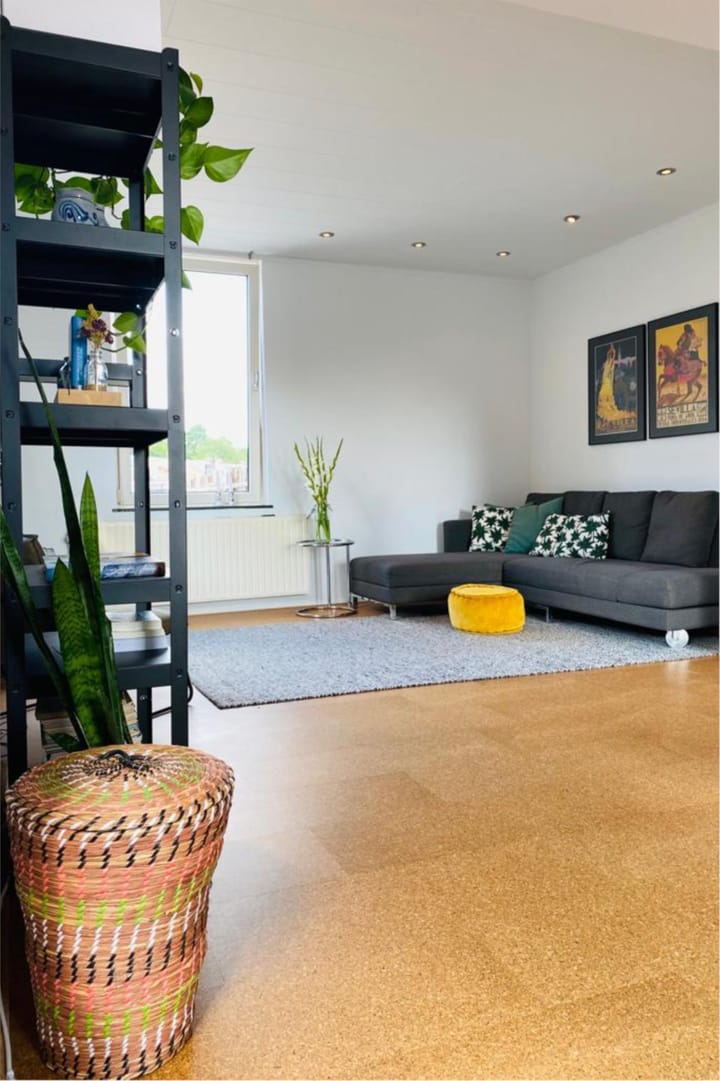 Foto 10 van Voltastraat 40