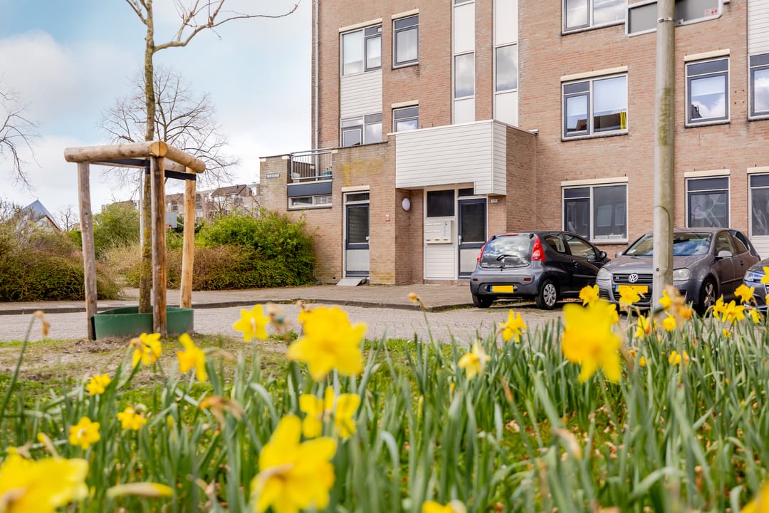 Foto 7 van Broekerhof 7