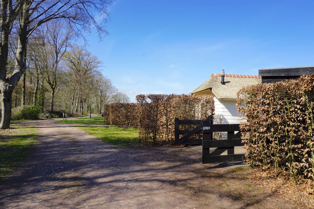 Foto 11 van Langwarderdyk 6-0015