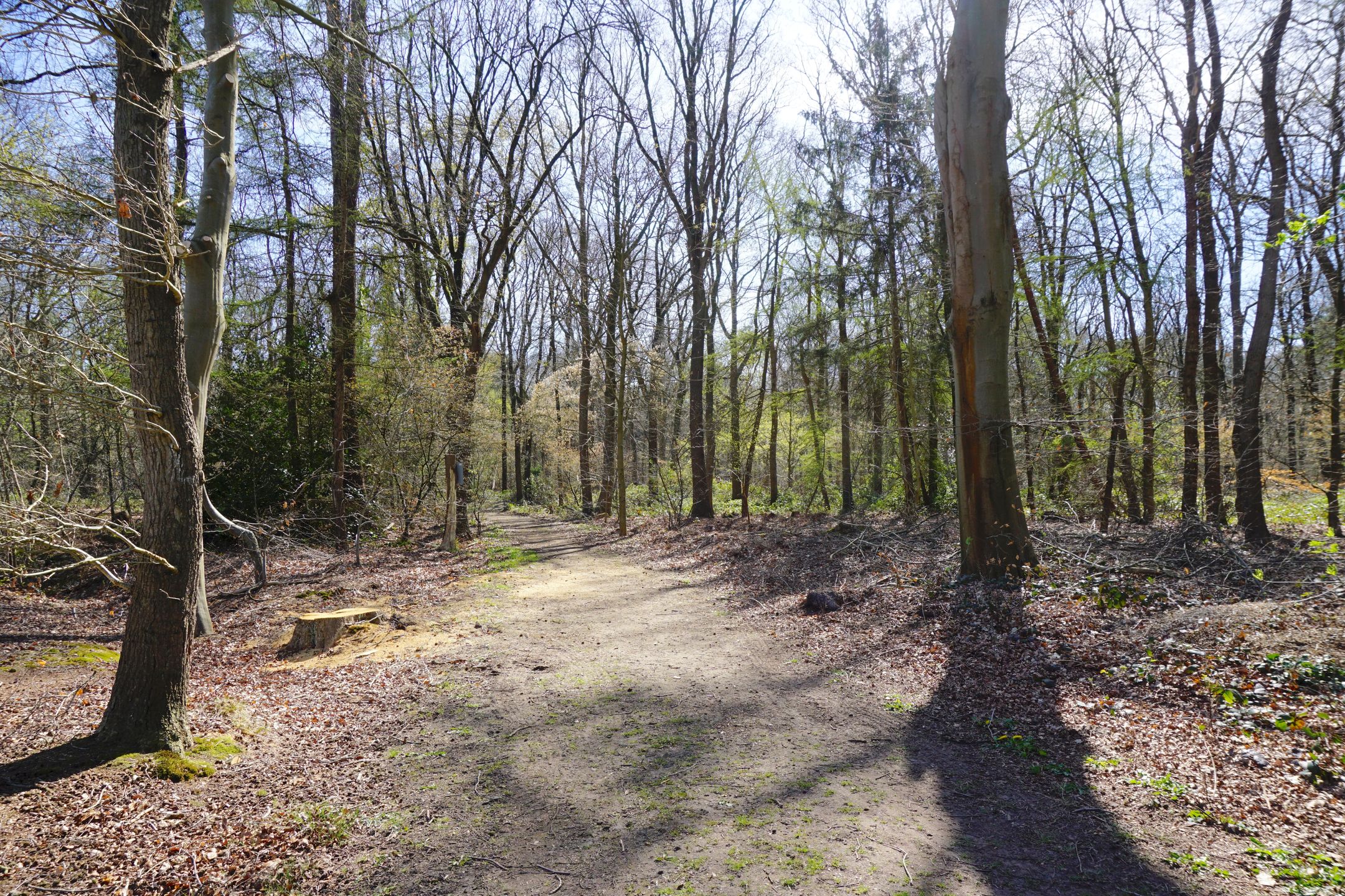 Foto 12 van Langwarderdyk 6-0015