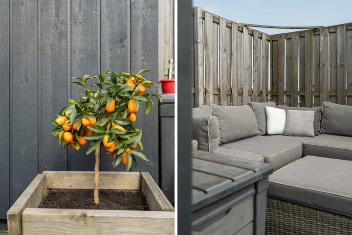 Foto 52 van Bergselaan 198-A