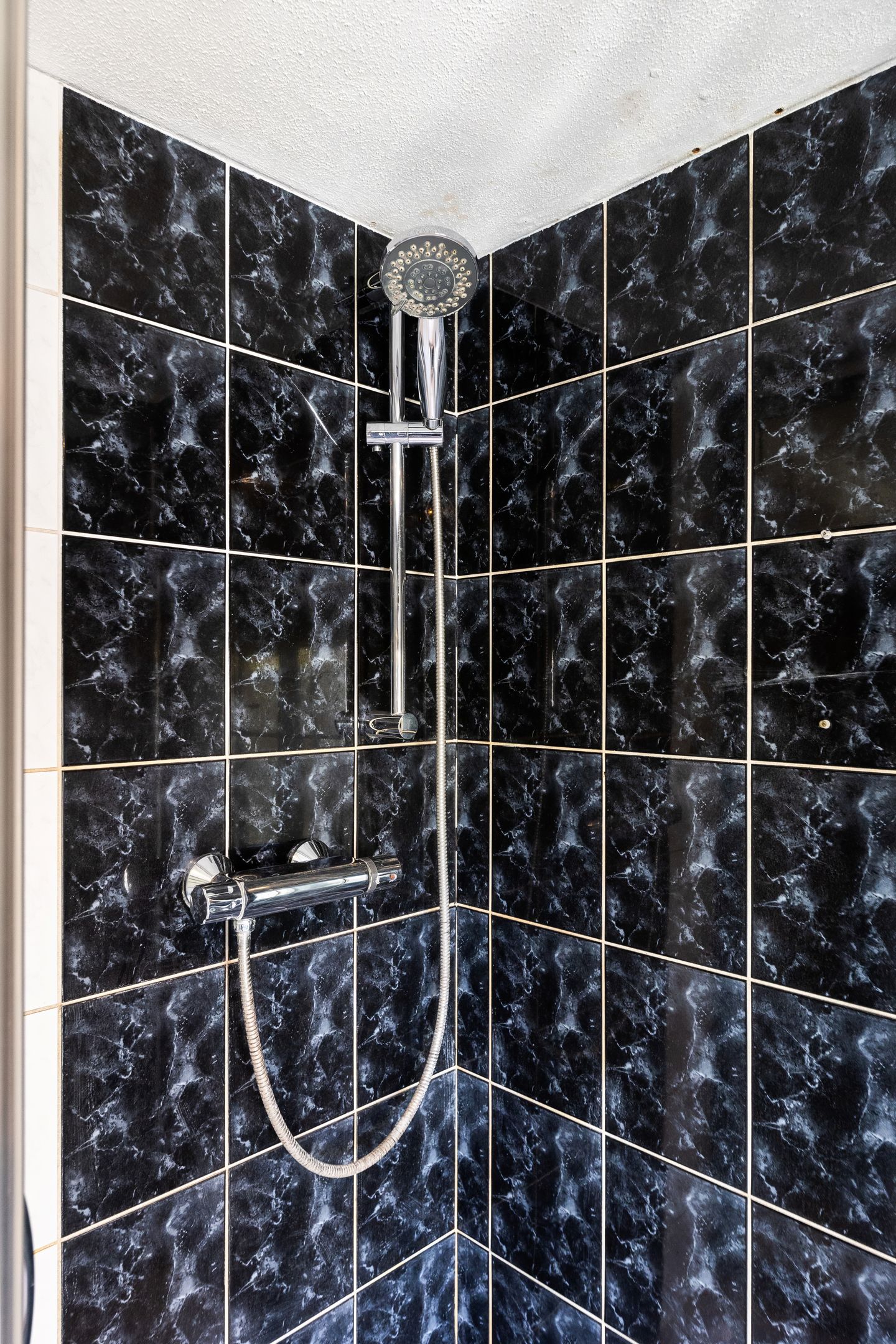 Foto 25 van President Rooseveltlaan 152