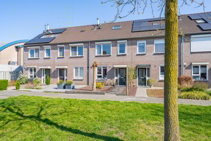 undefined main image