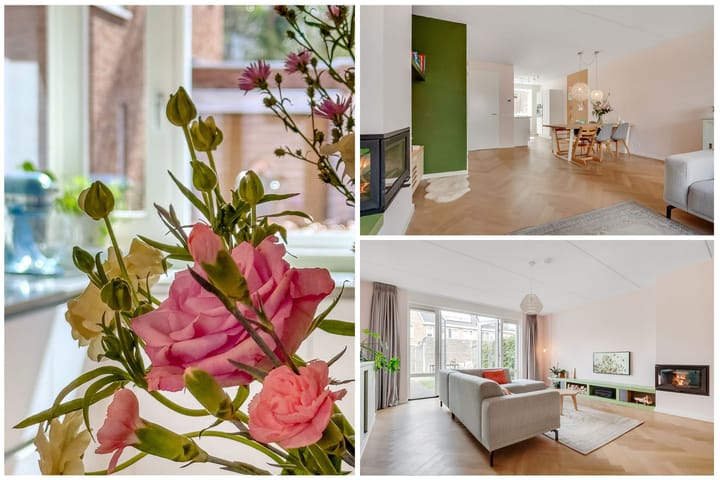 Foto 19 van Tolhuislaan 111