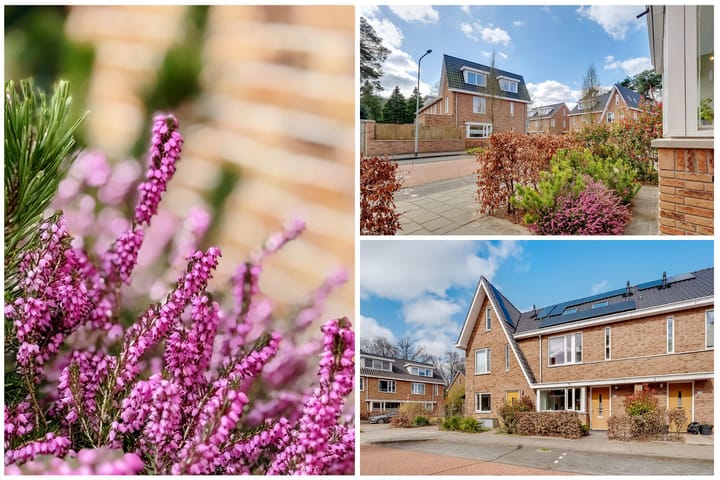 Foto 36 van Tolhuislaan 111