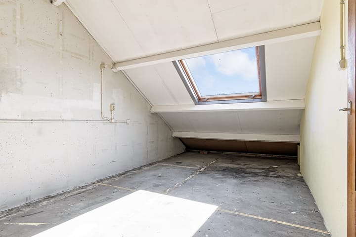 Foto 16 van Galjoen 22 54