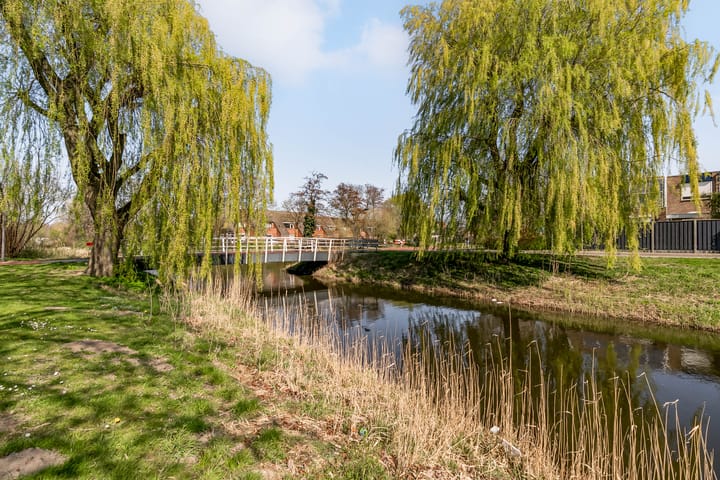 Foto 21 van Galjoen 22 54