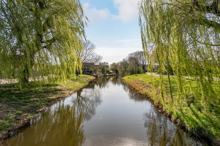 Foto 22 van Galjoen 22 54