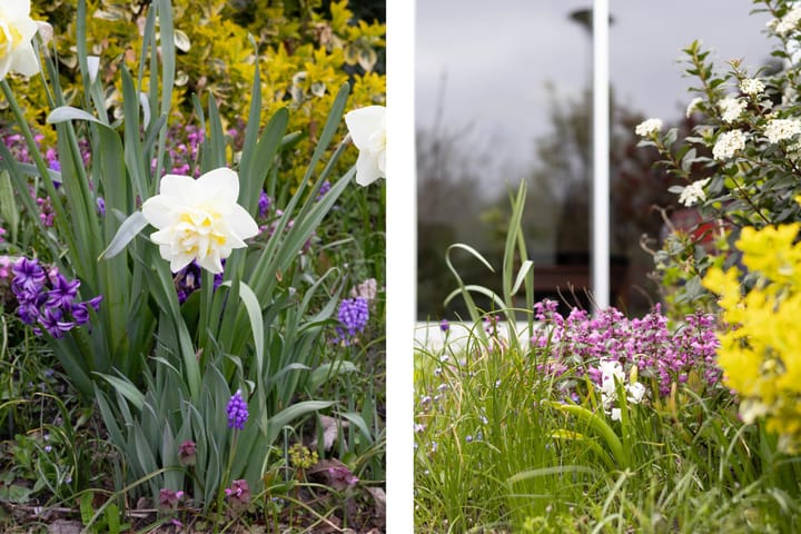 Photo 34 of Jhr A F de Savornin Lohmanstraat 34