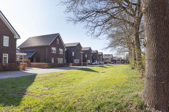 Photo 3 of Kruisspin 52