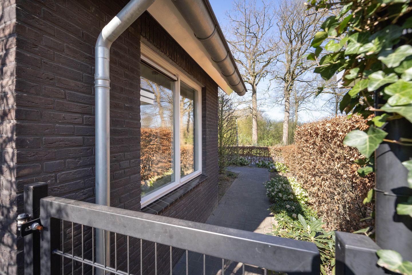 Photo 35 of Kruisspin 52