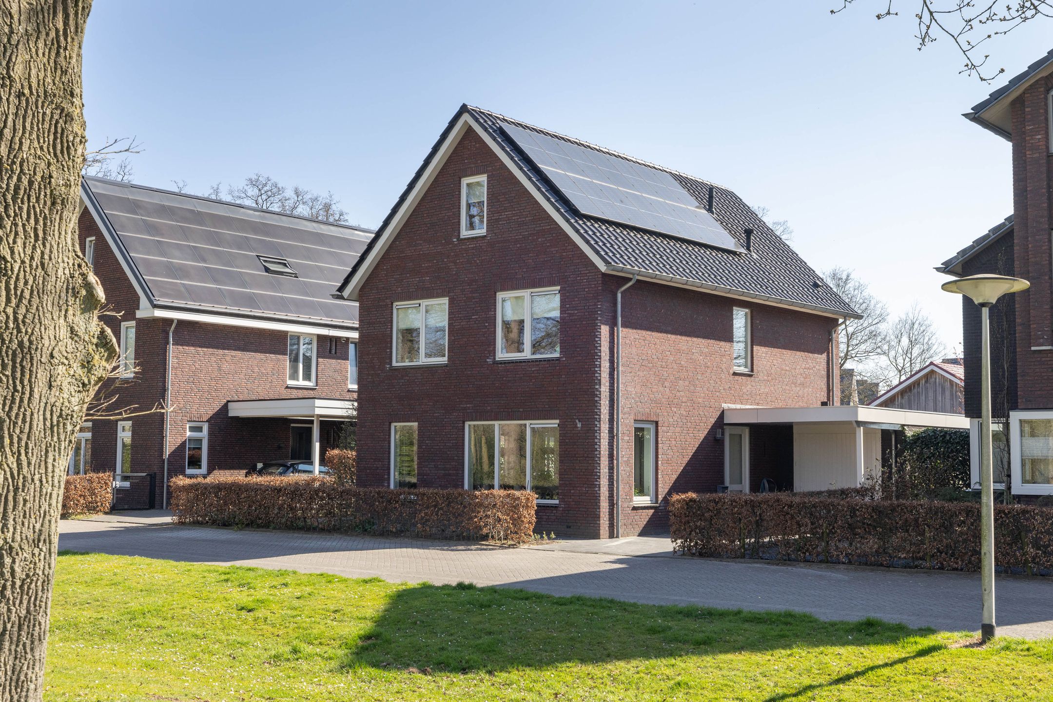 Photo 36 of Kruisspin 52