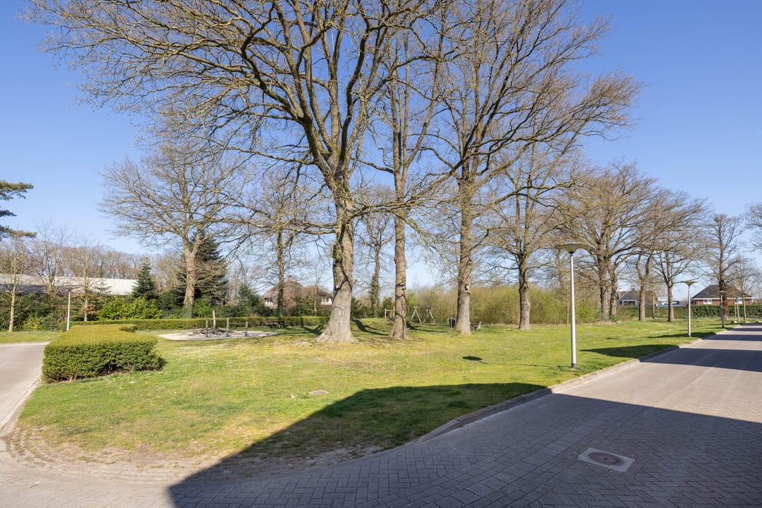 Photo 41 of Kruisspin 52