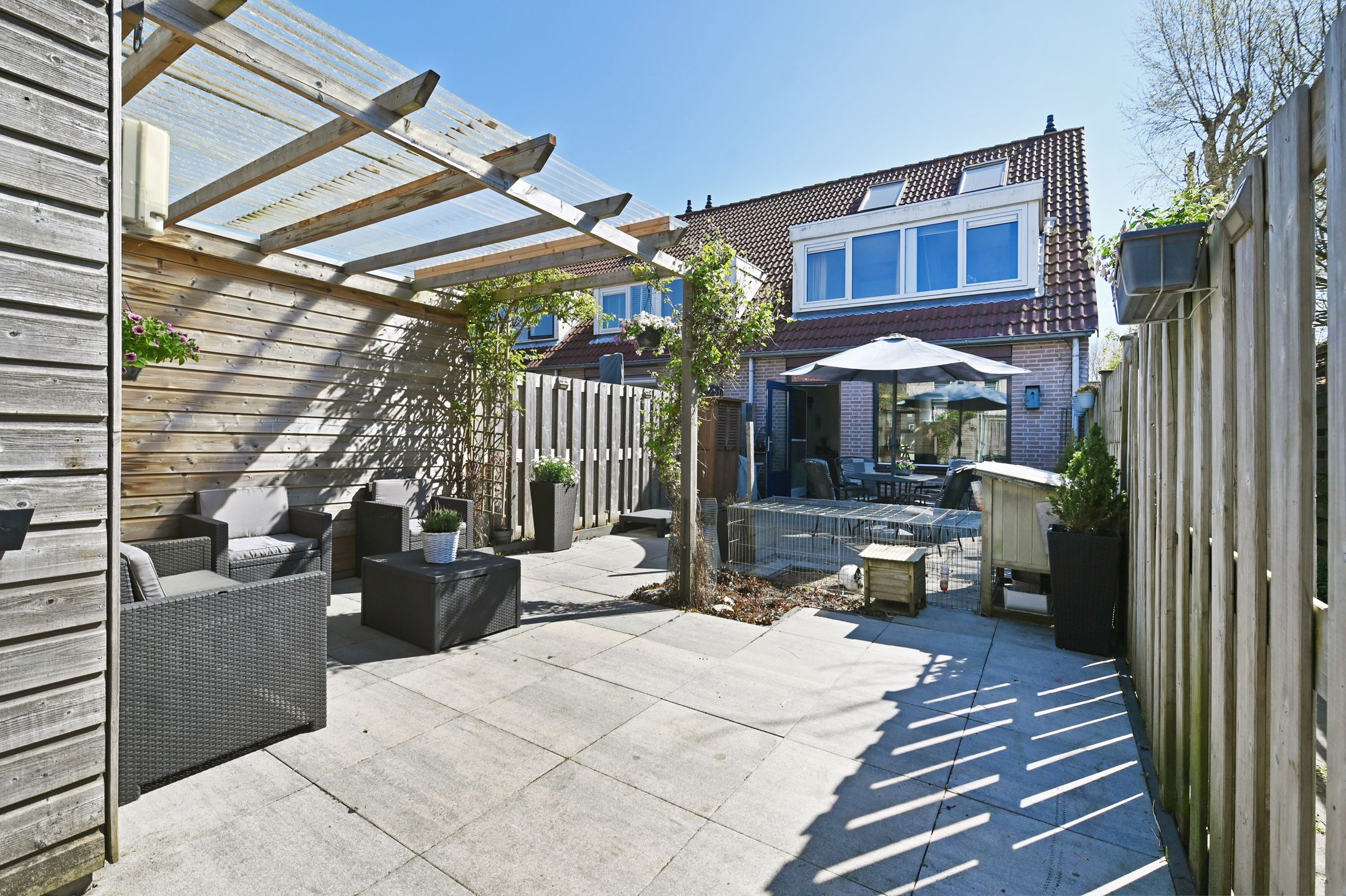 Foto 12 van Akelei 1