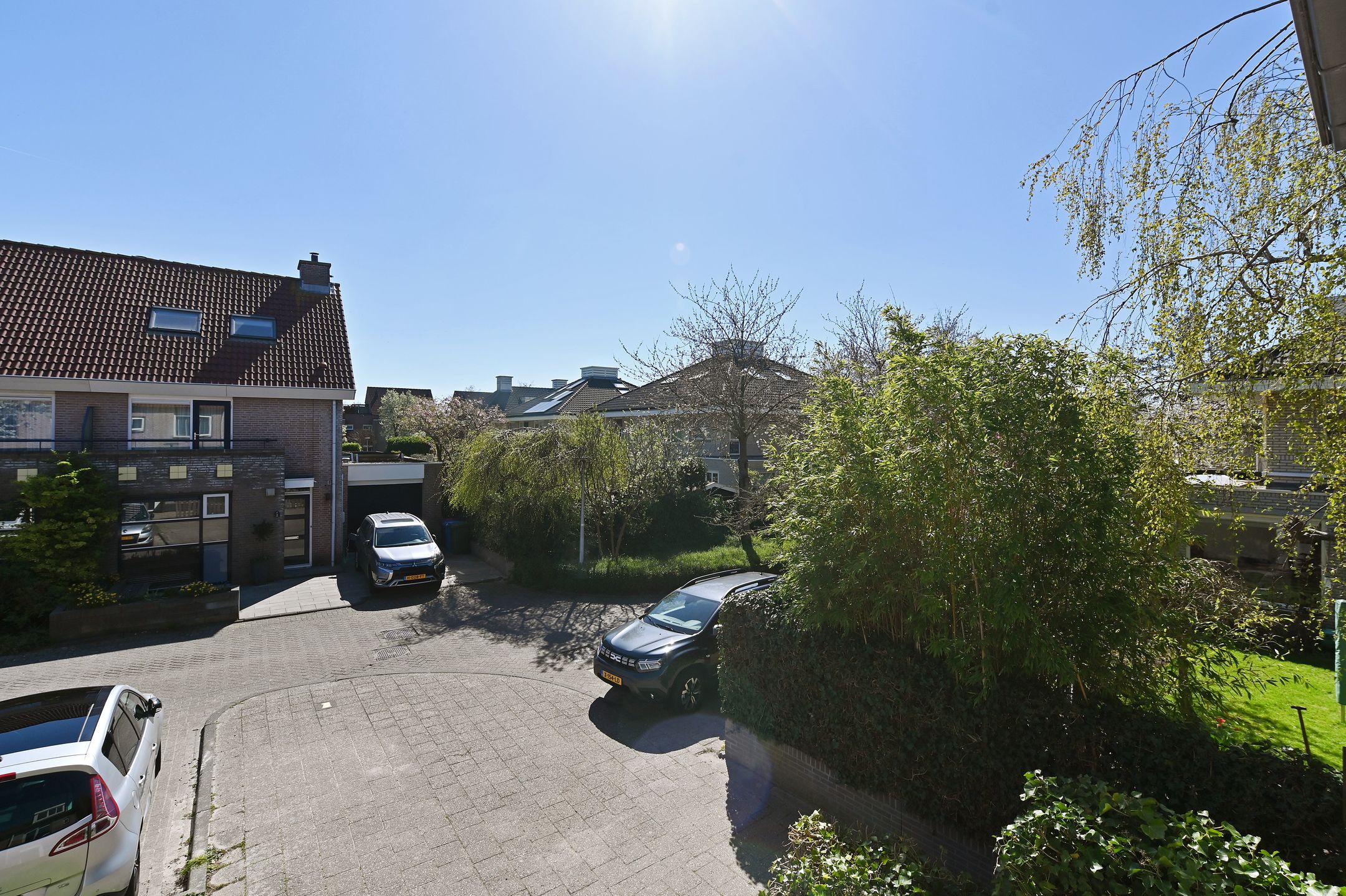 Foto 33 van Akelei 1