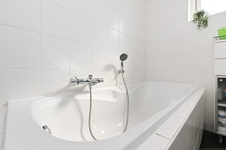 Foto 39 van Akelei 1