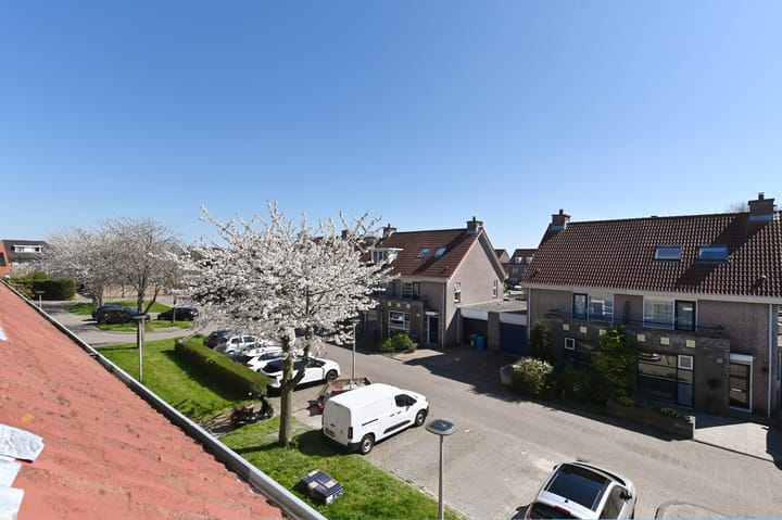 Foto 44 van Akelei 1