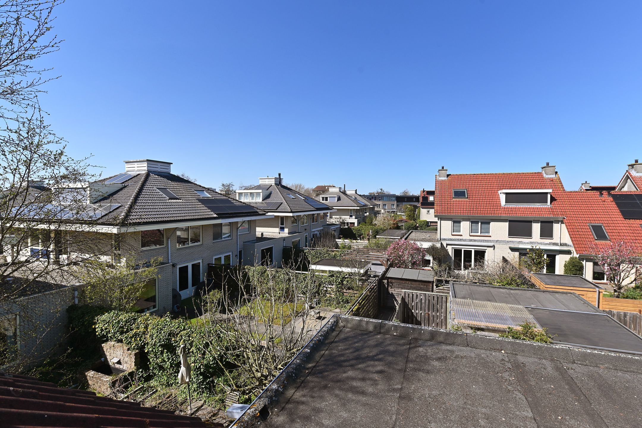 Foto 45 van Akelei 1