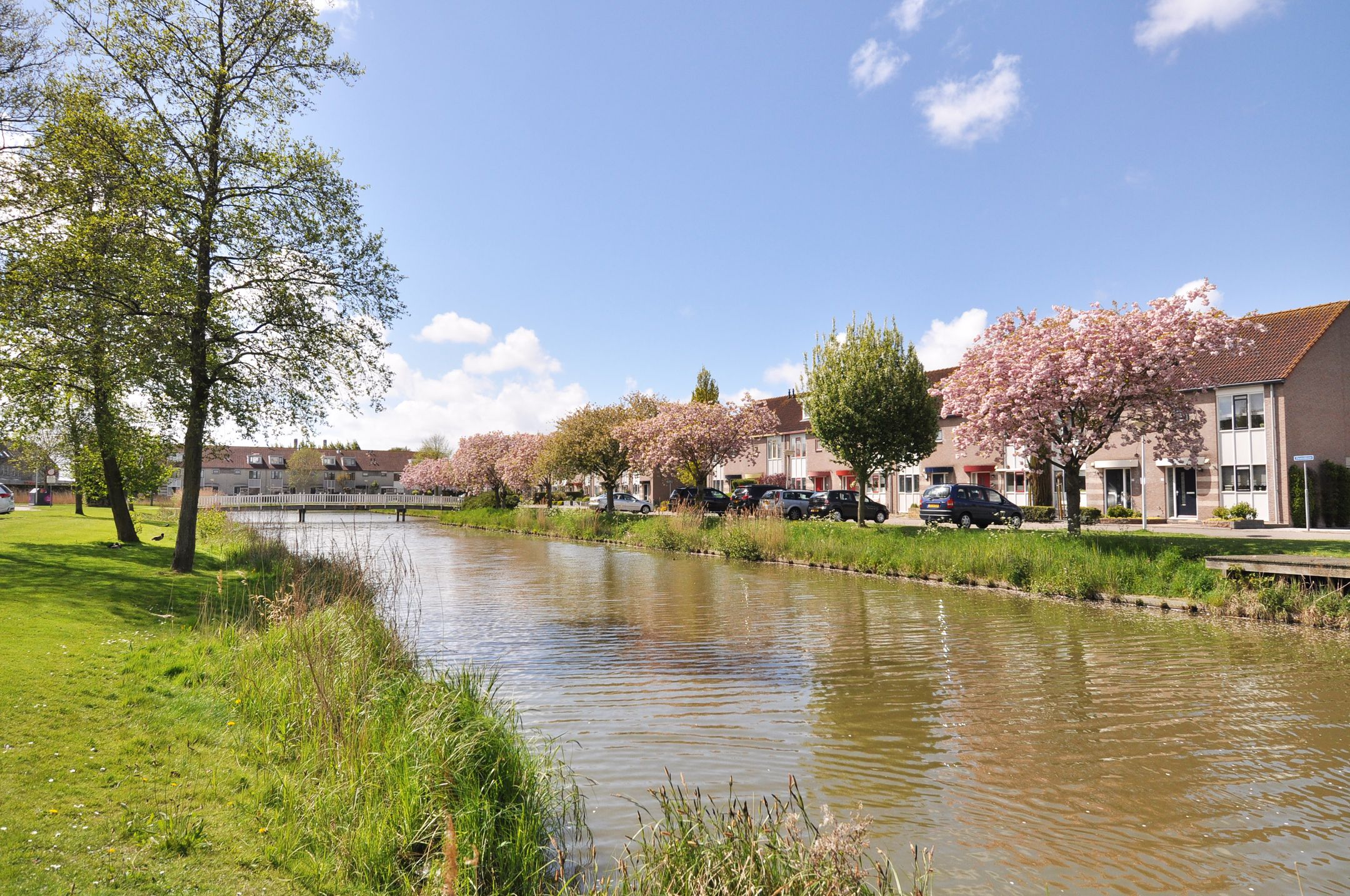 Foto 48 van Akelei 1