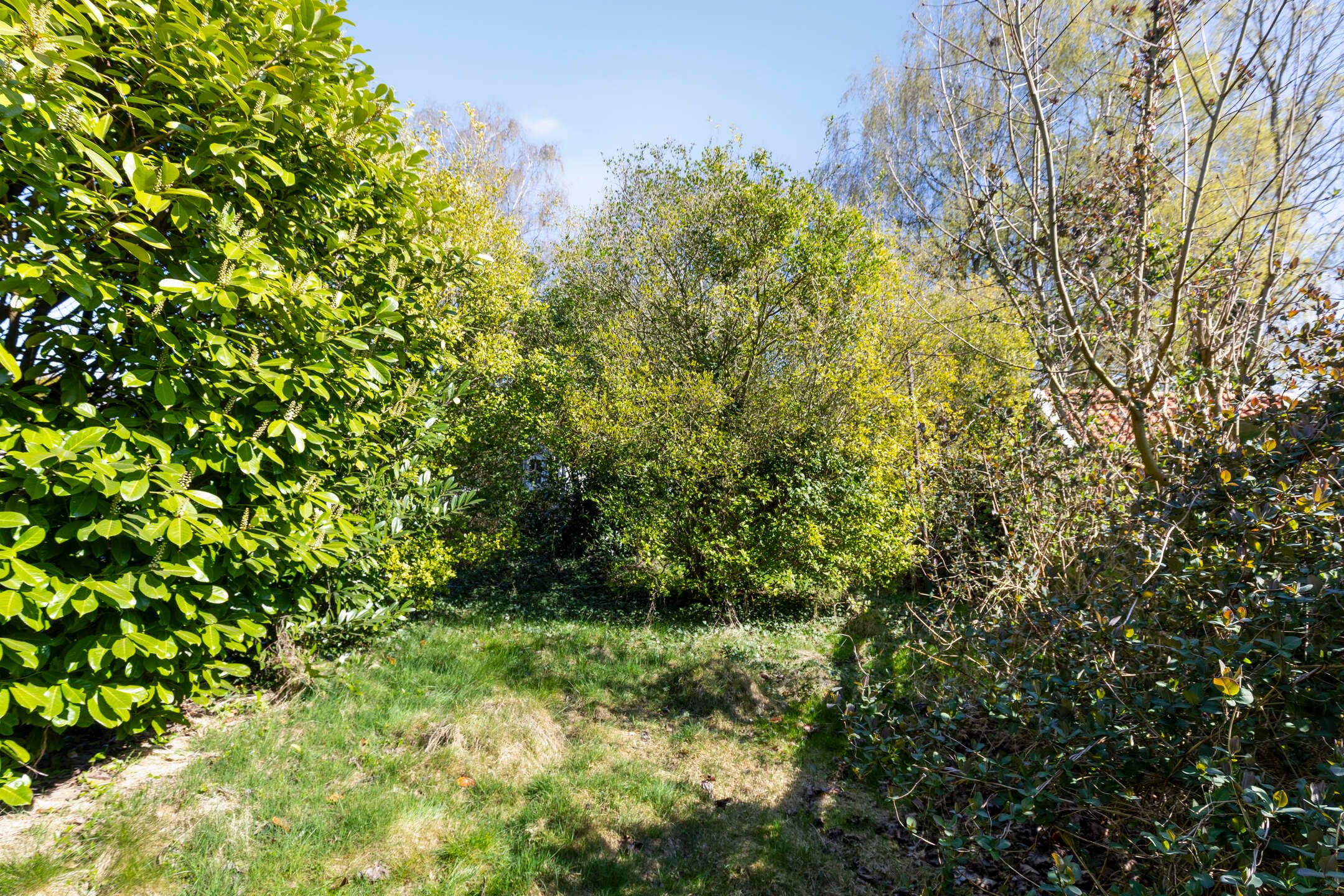 Photo 24 of Landbouwstraat 44