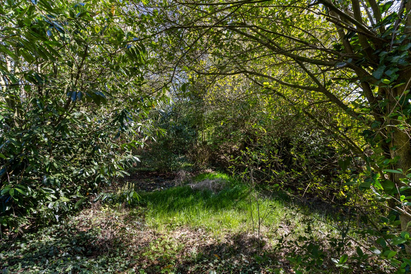 Photo 25 of Landbouwstraat 44