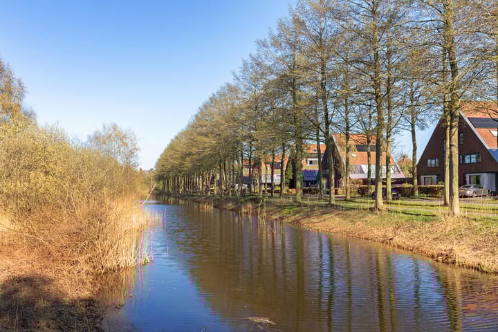 Foto 43 van Lepelaar 81