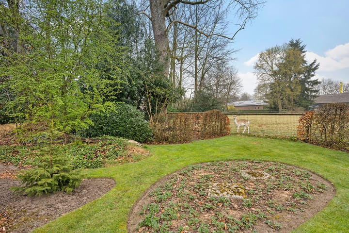 Foto 43 van Oude Dalerveensestraat 10