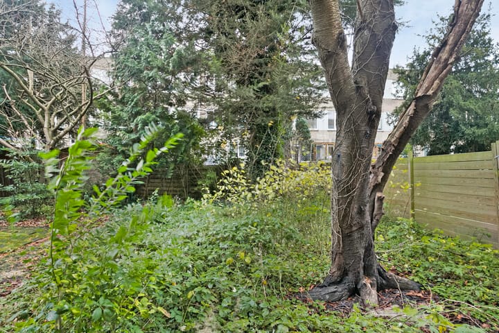 Photo 14 of Goereesestraat 37-A