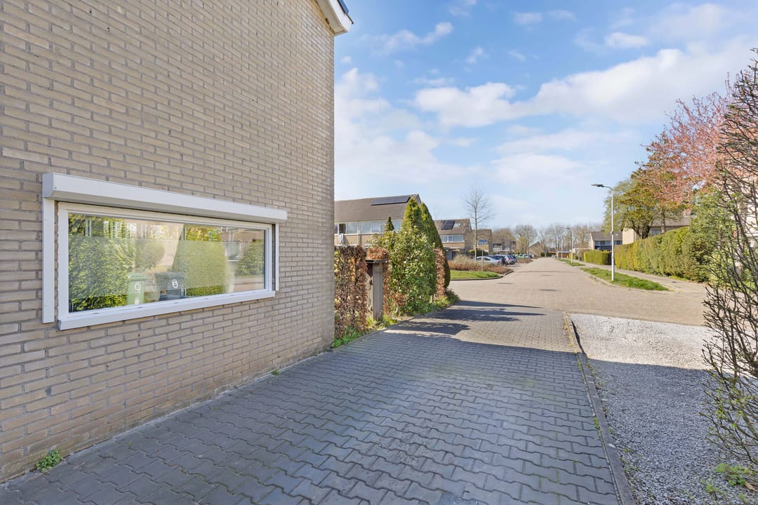 Foto 46 van Bûtewacht 59