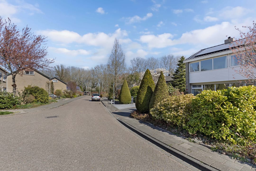 Foto 47 van Bûtewacht 59