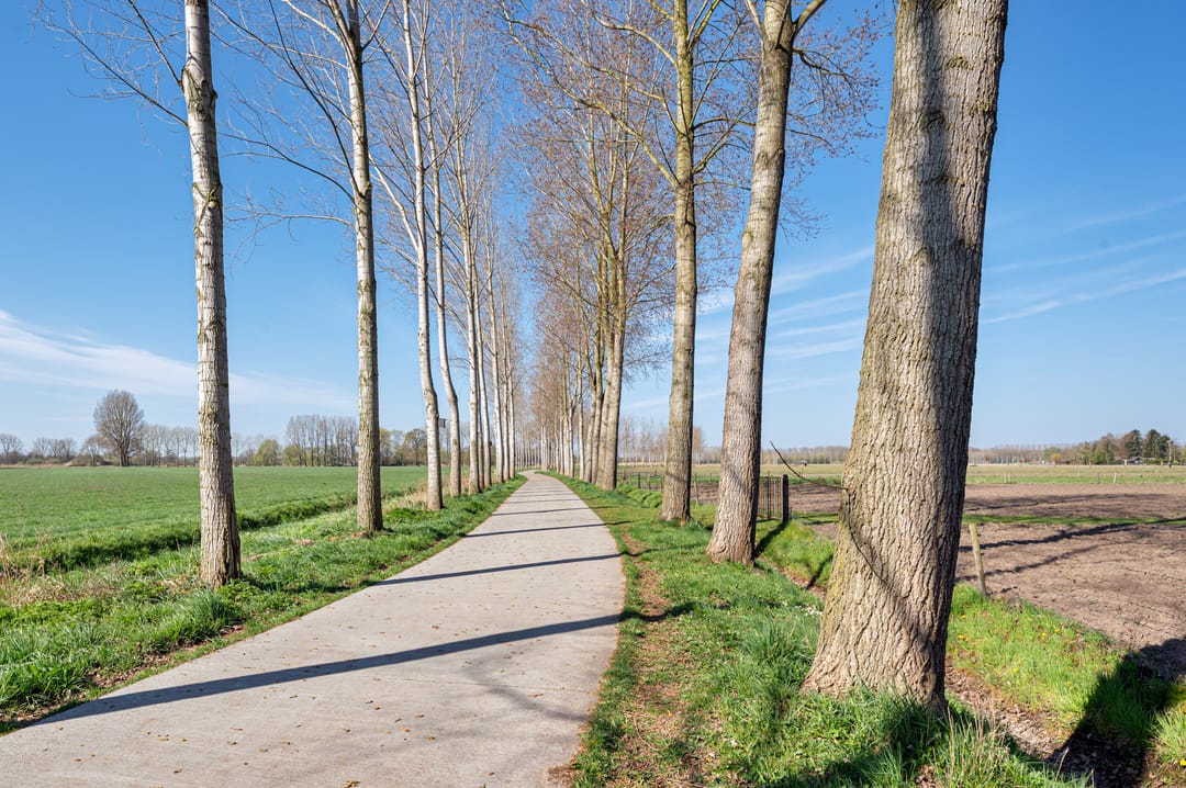 Foto 37 van Pastoor Smitsstraat 7