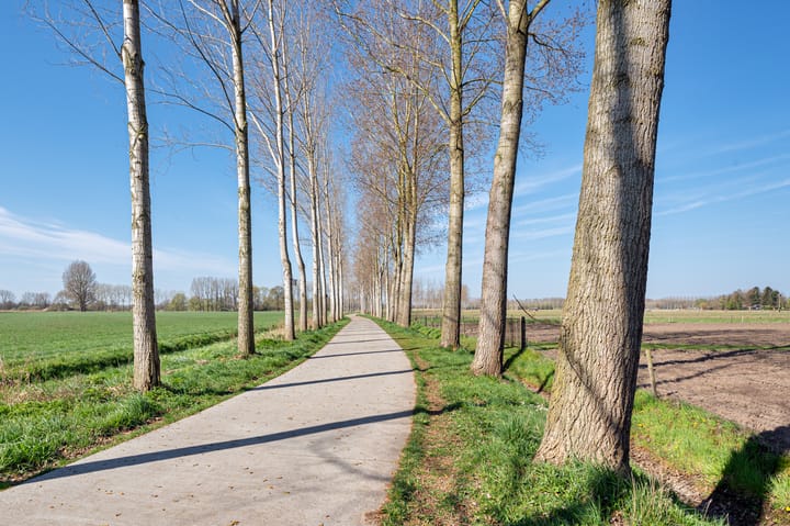 Foto 37 van Pastoor Smitsstraat 7