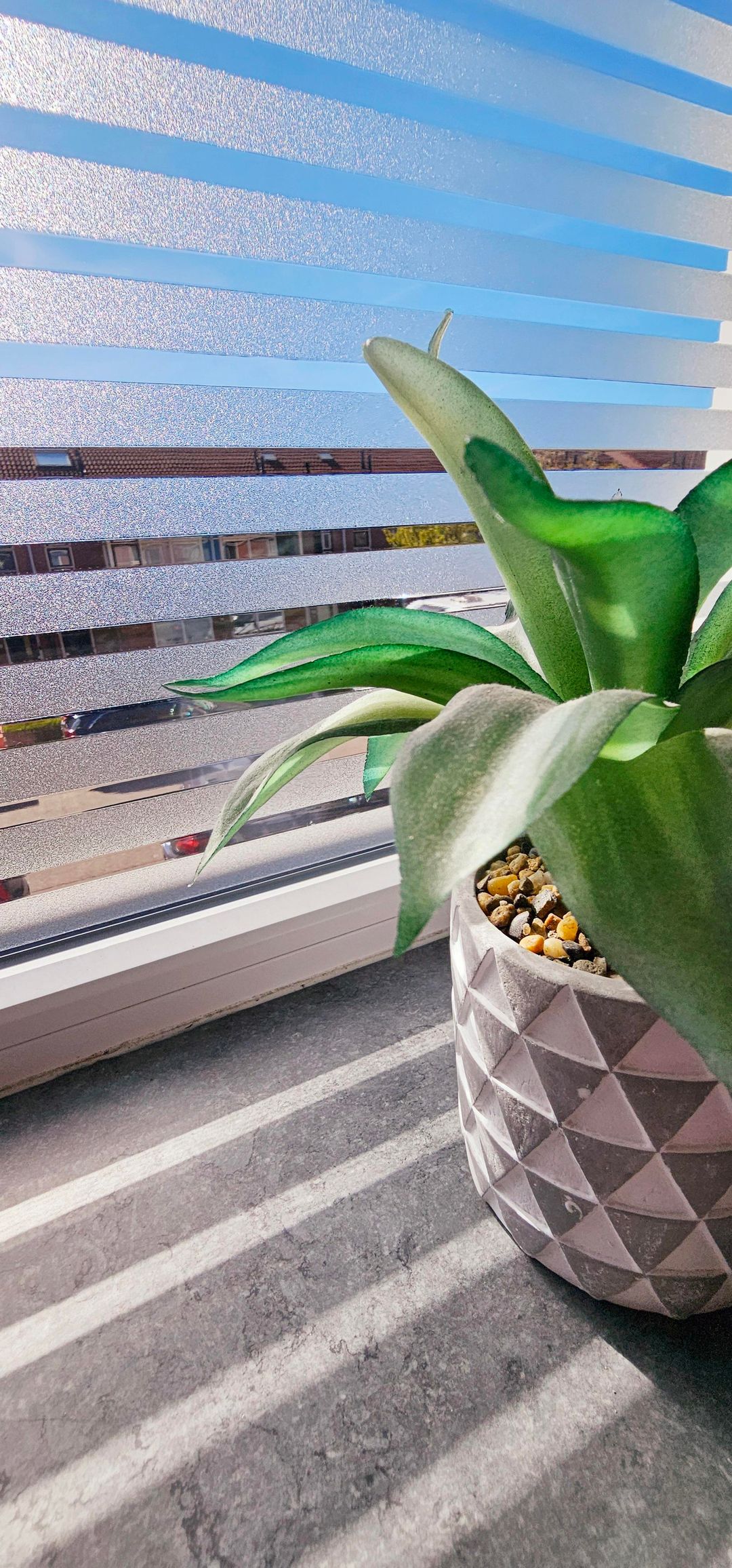 Foto 31 van Adrienne Solserstraat 70