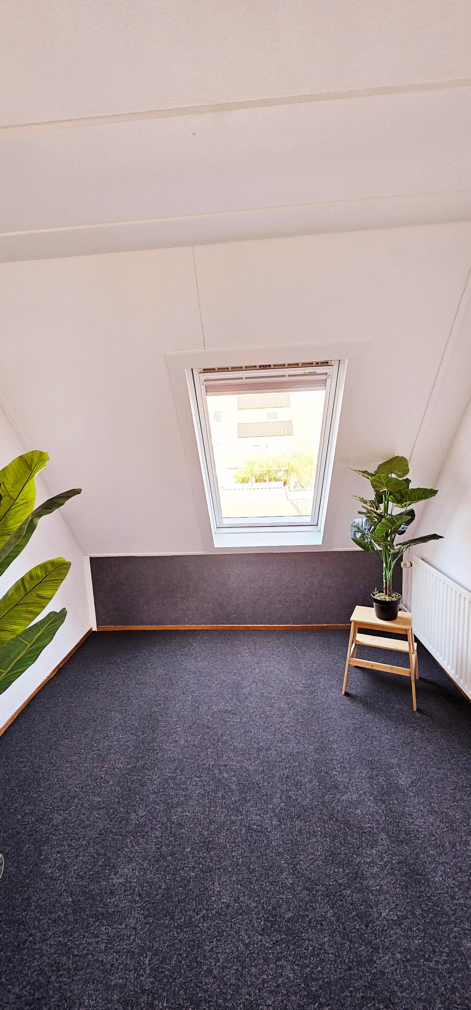 Foto 18 van Adrienne Solserstraat 70