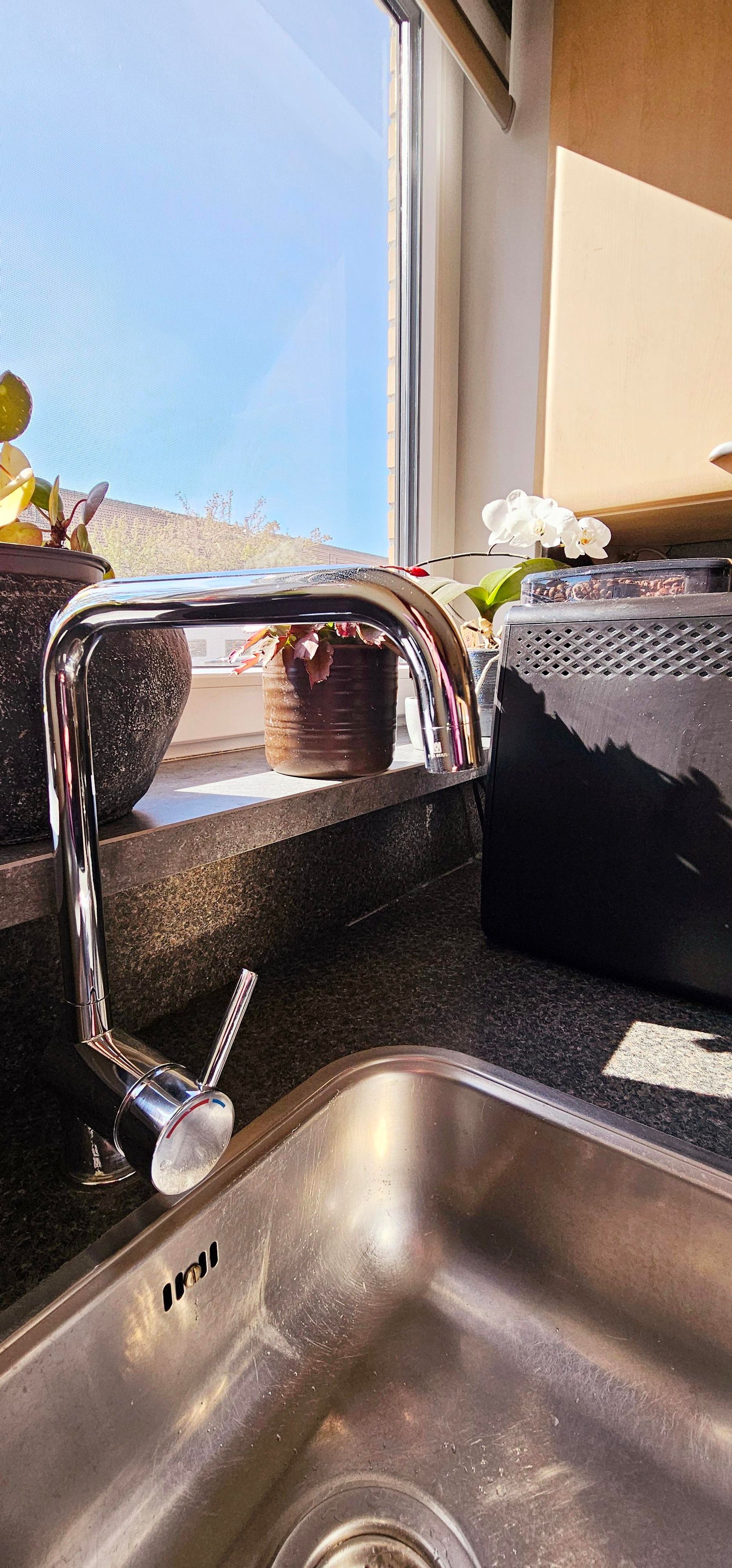 Foto 12 van Adrienne Solserstraat 70