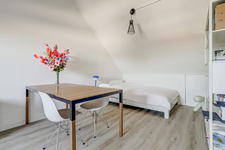 Photo 38 of Theo van Rijenlaan 49