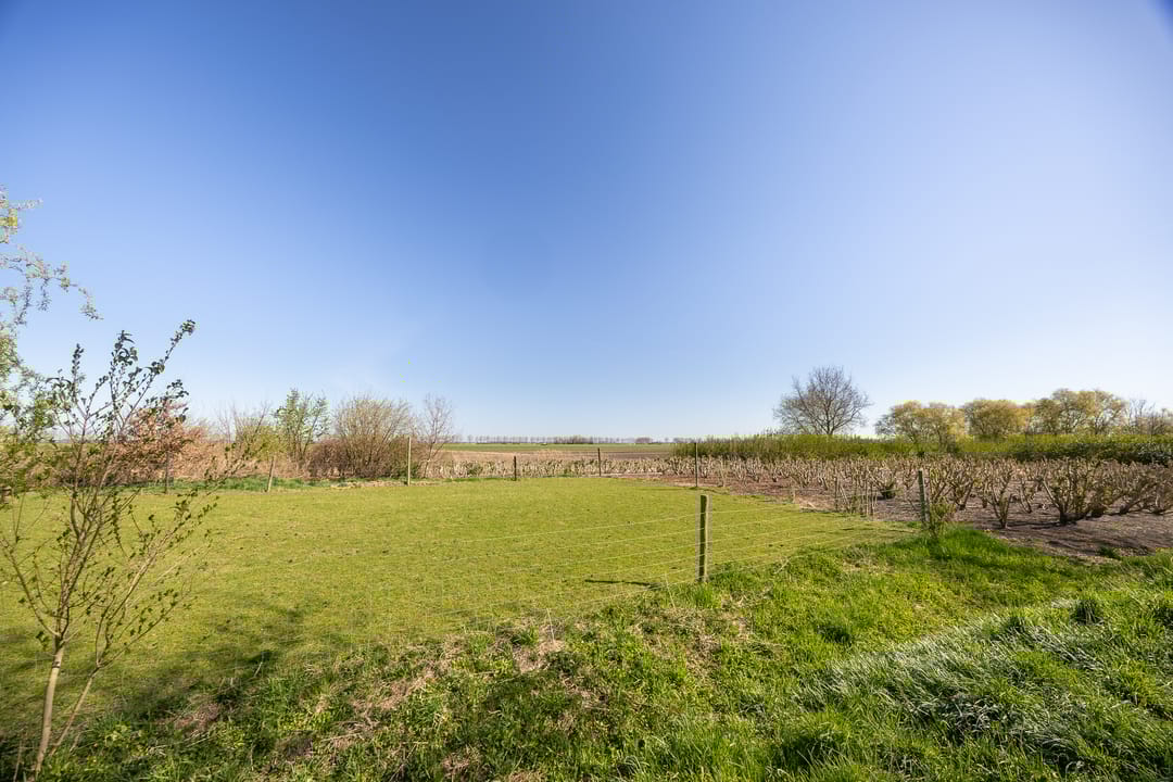 Foto 31 van Jeltje de Bosch Kemperstraat 207