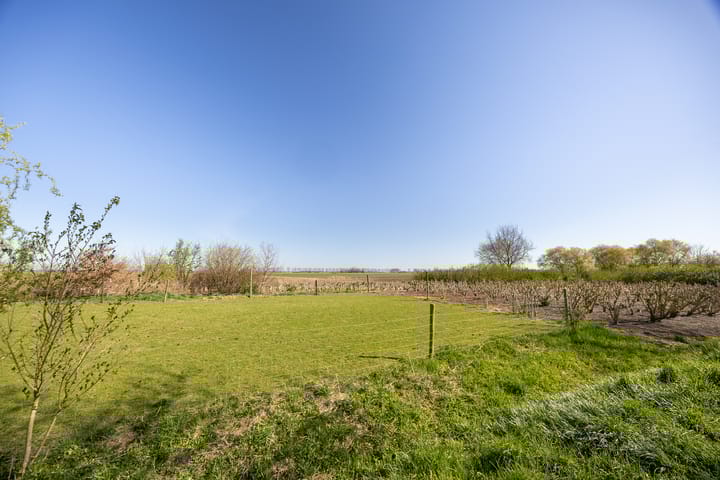 Foto 31 van Jeltje de Bosch Kemperstraat 207