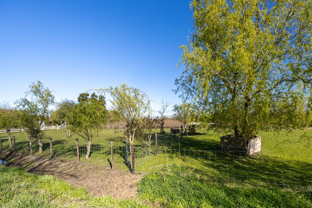 Foto 32 van Jeltje de Bosch Kemperstraat 207